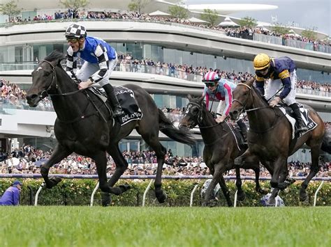 melbourne cup 2022 news